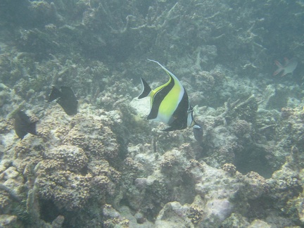 Malediven 055