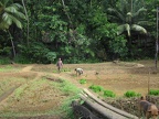 Sri Lanka 030