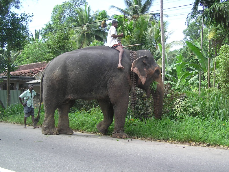 Sri Lanka 033