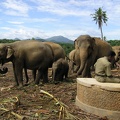 Sri_Lanka_044.jpg